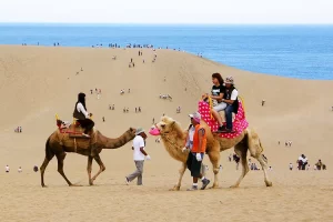 Keindahan Tersembunyi Jepang Tottori: Pasir dan Alam